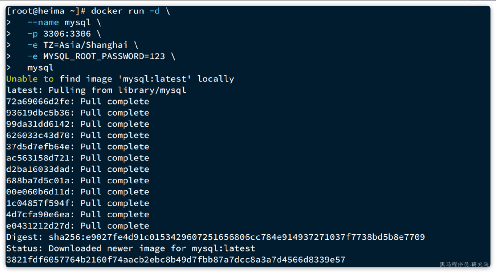 docker 安装 MySQL 结果